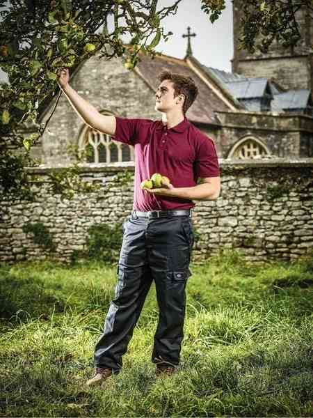 Dickies SH21220 Men Short Sleeve Polo Shirt Burgundy